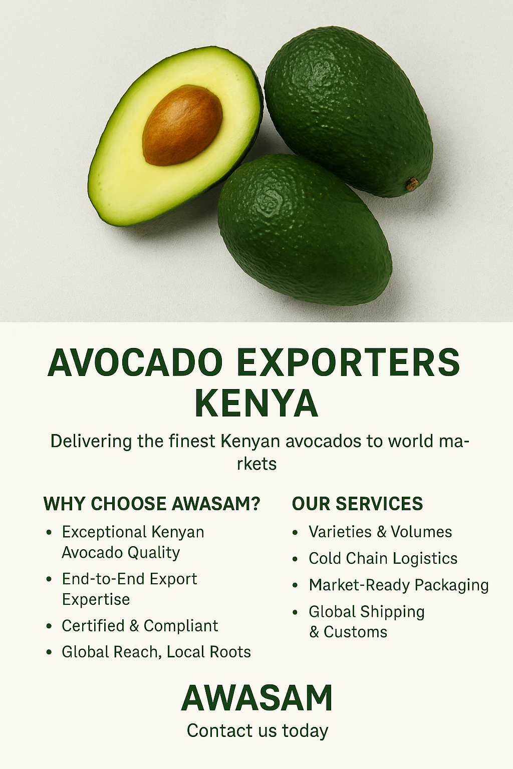 avocado exporters