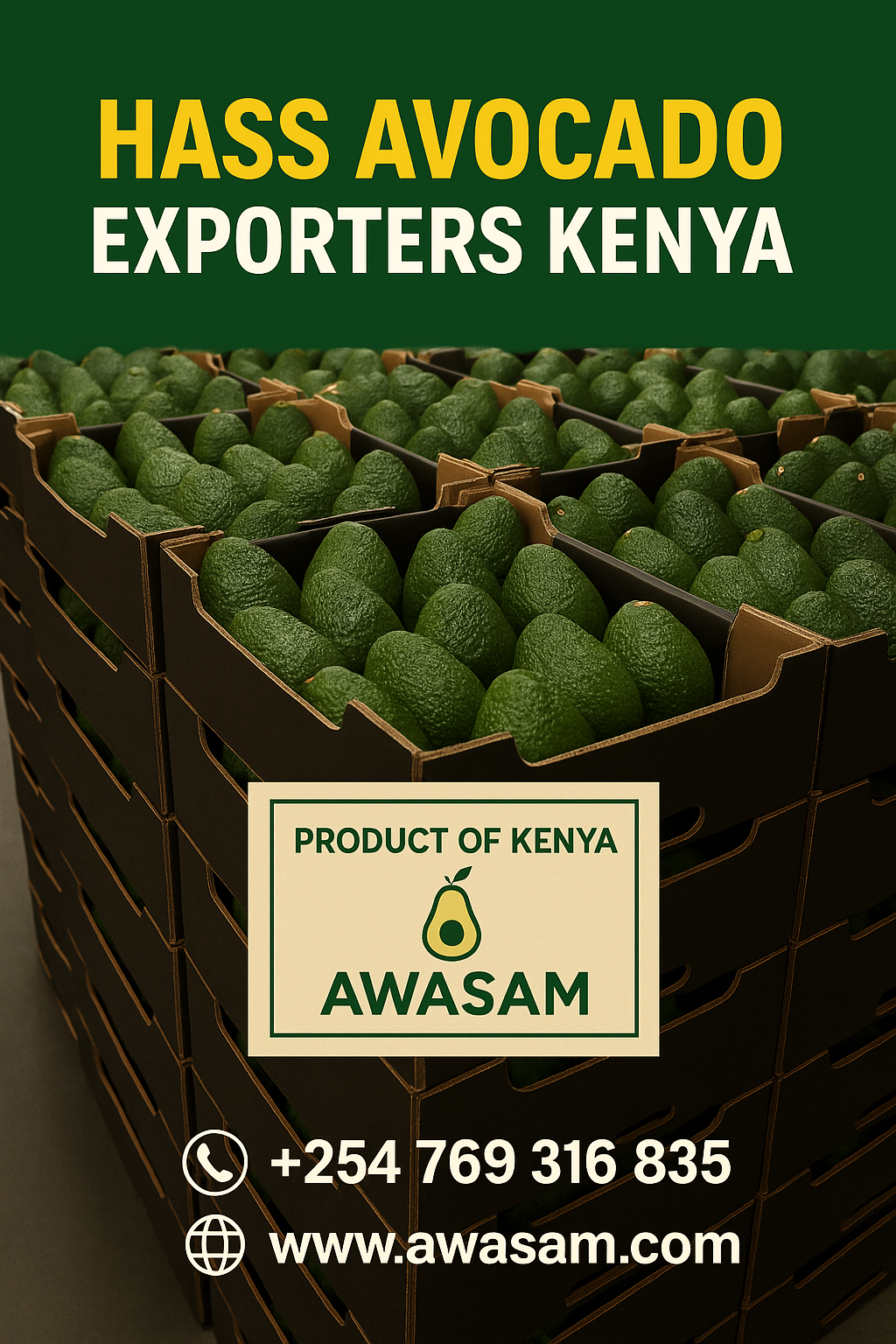 Hass Avocado Exporters Kenya 