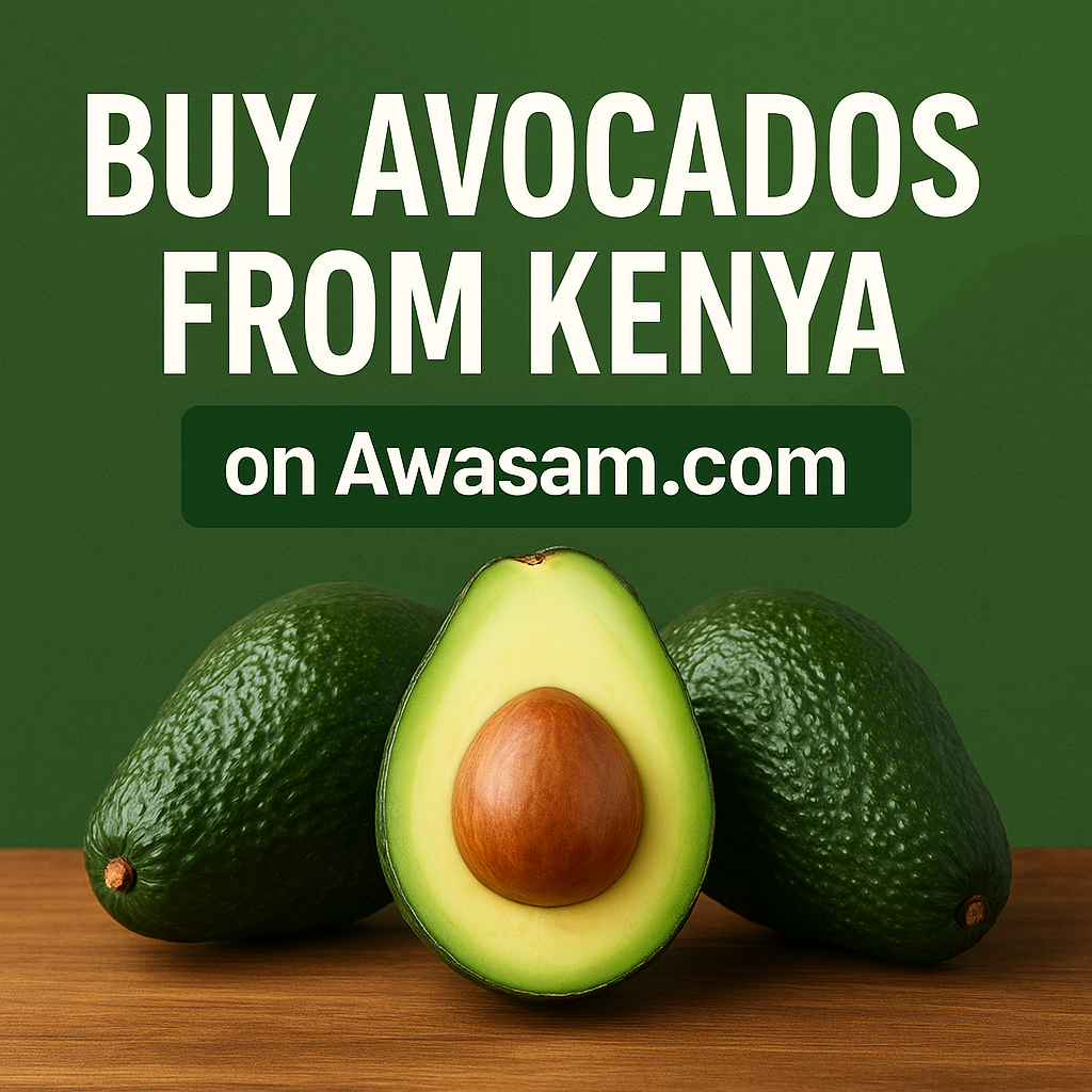Buy Avocados from Kenya