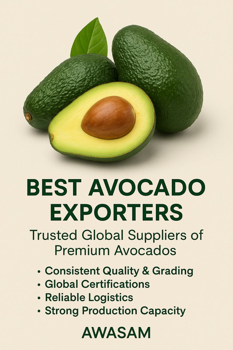 Best Avocado Exporters