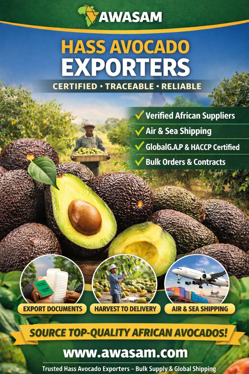 Hass Avocado Exporters