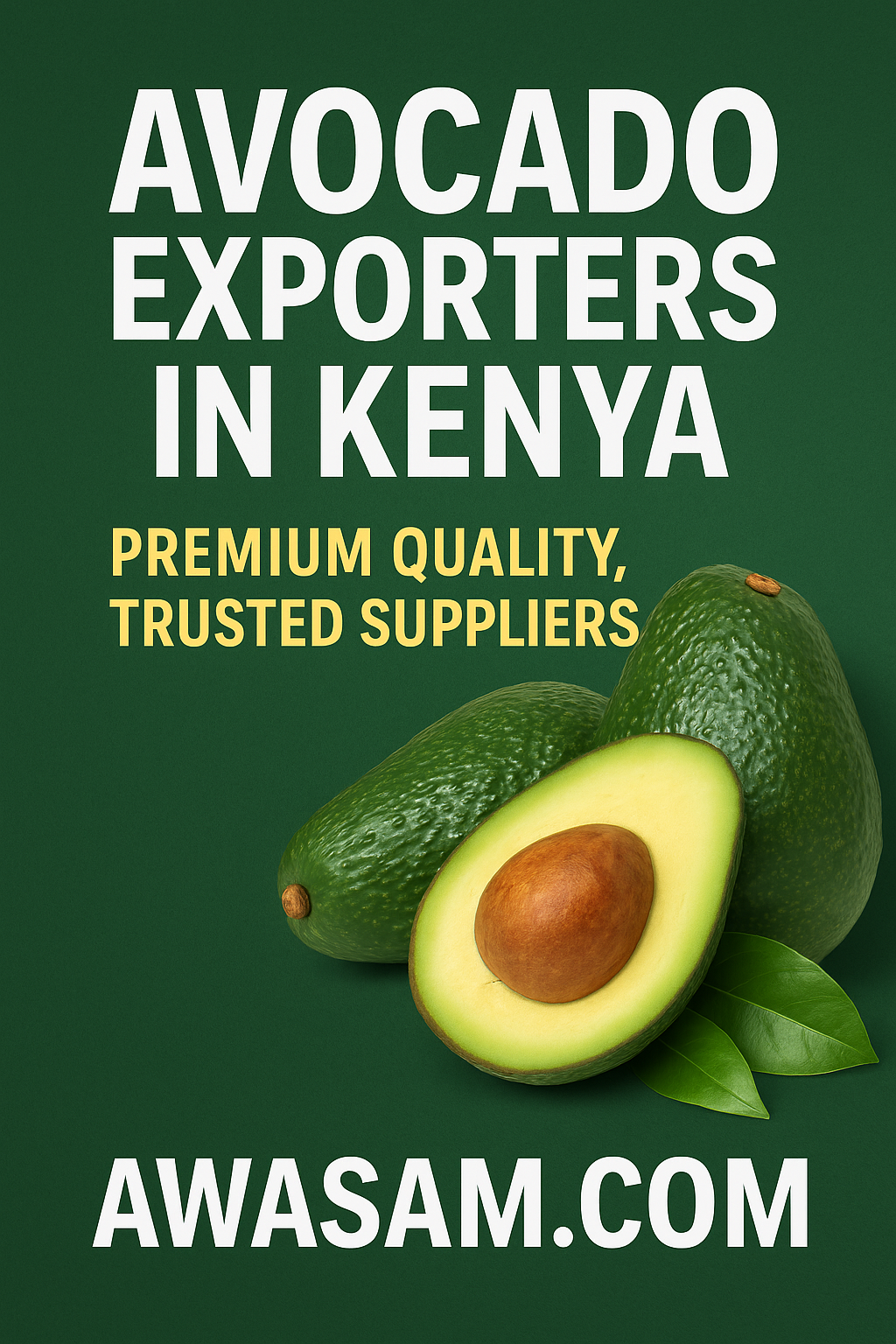 Avocado Exporters