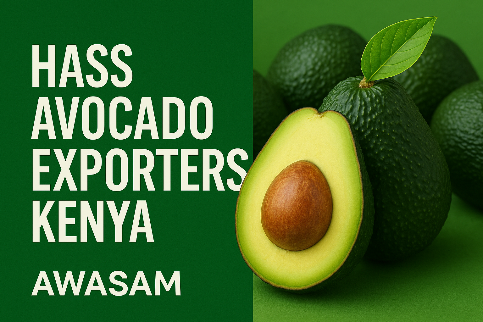 Hass Avocado Exporters 
