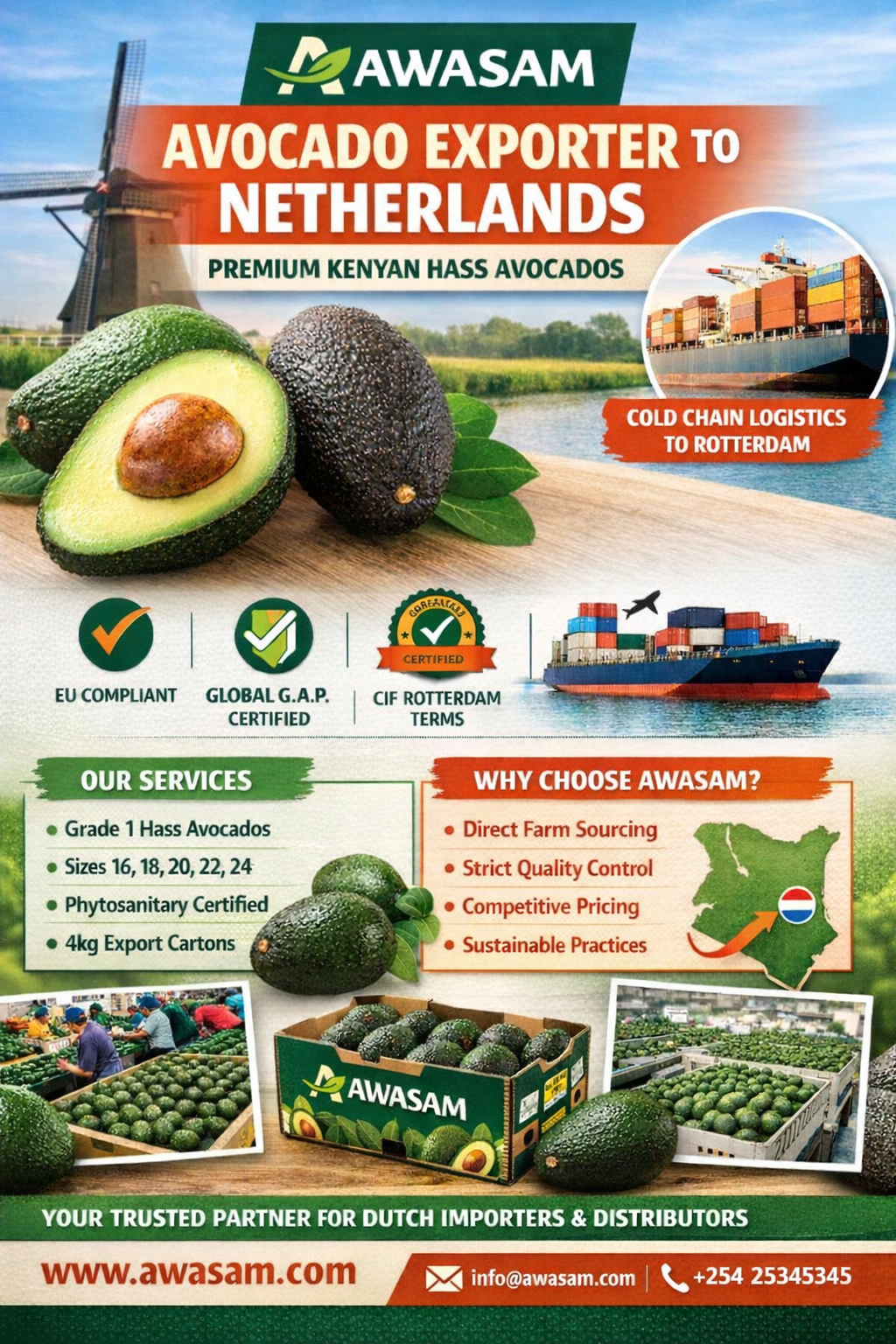 Avocado Exporter to Netherlands