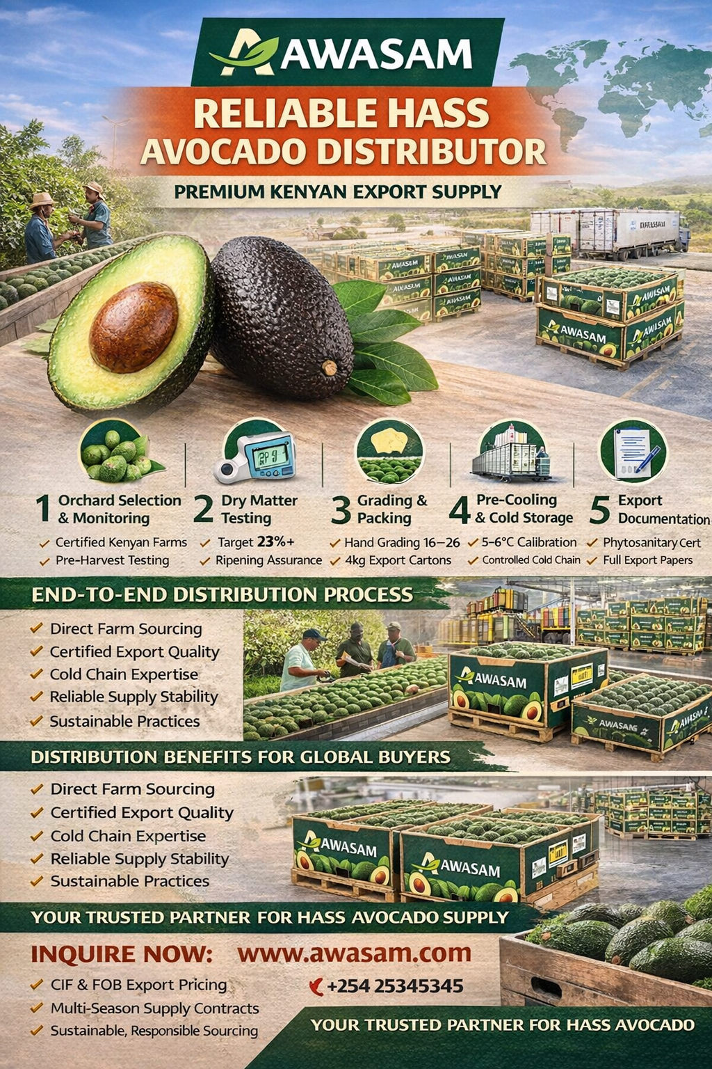 Reliable Hass Avocado Distributor 