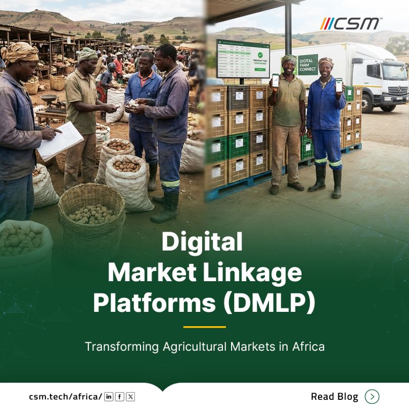 Buy Fruits Wholesale Online | Fresh Bulk Fruits at Best Prices