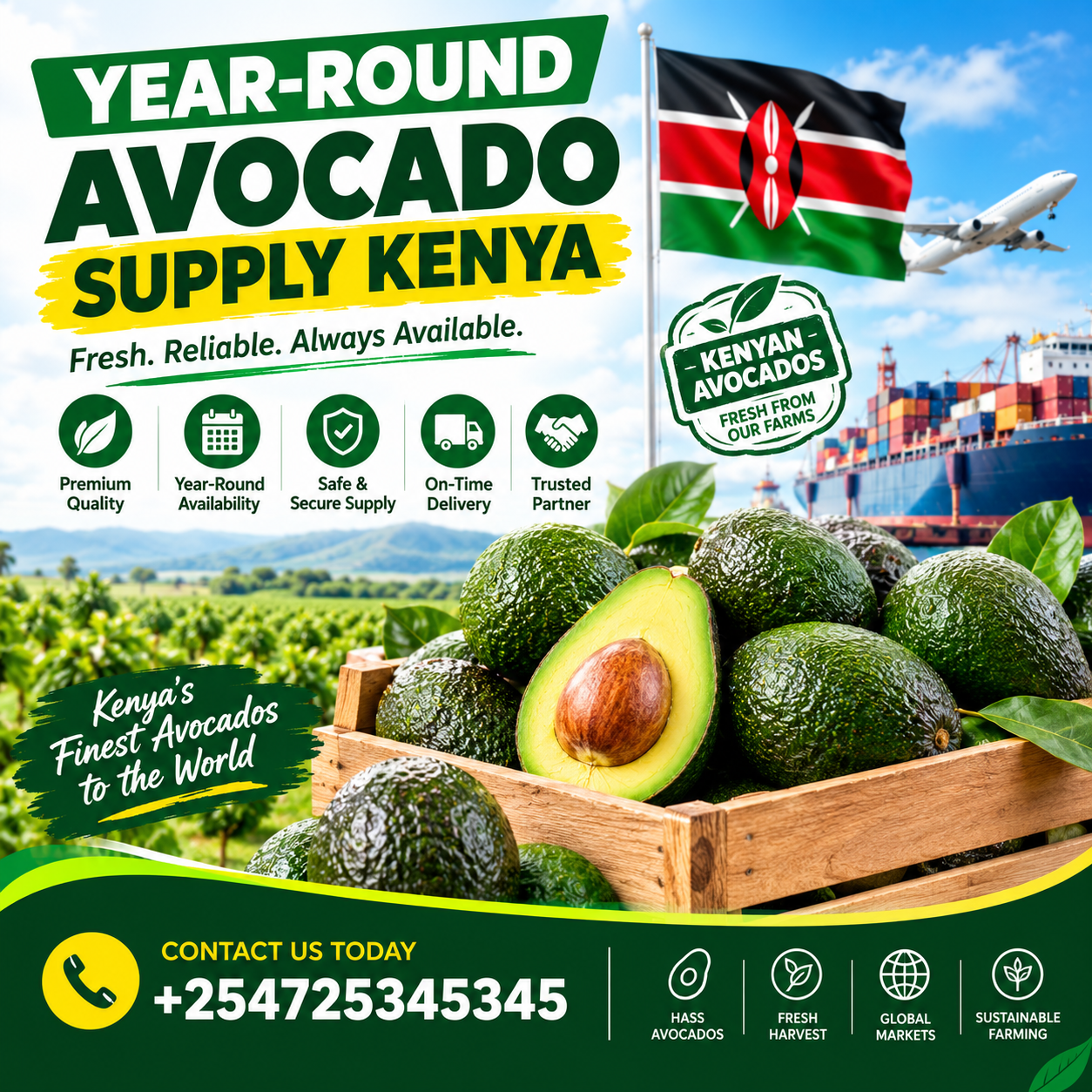 Year-round avocado supply Kenya