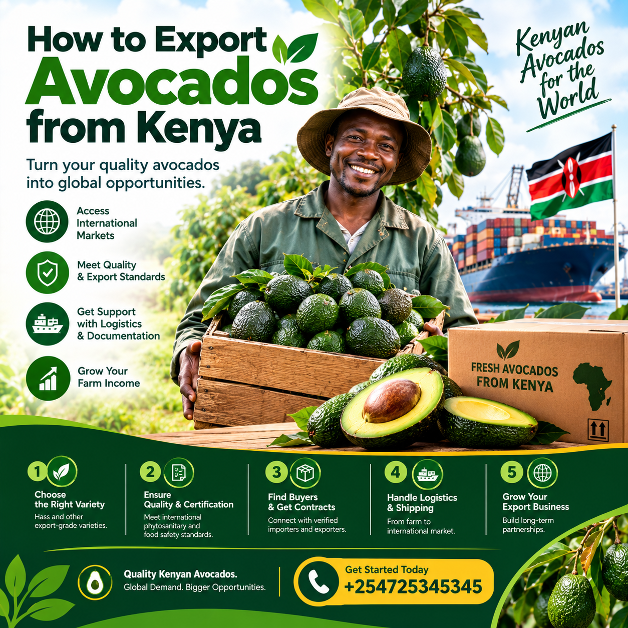 How to export avocados from Kenya