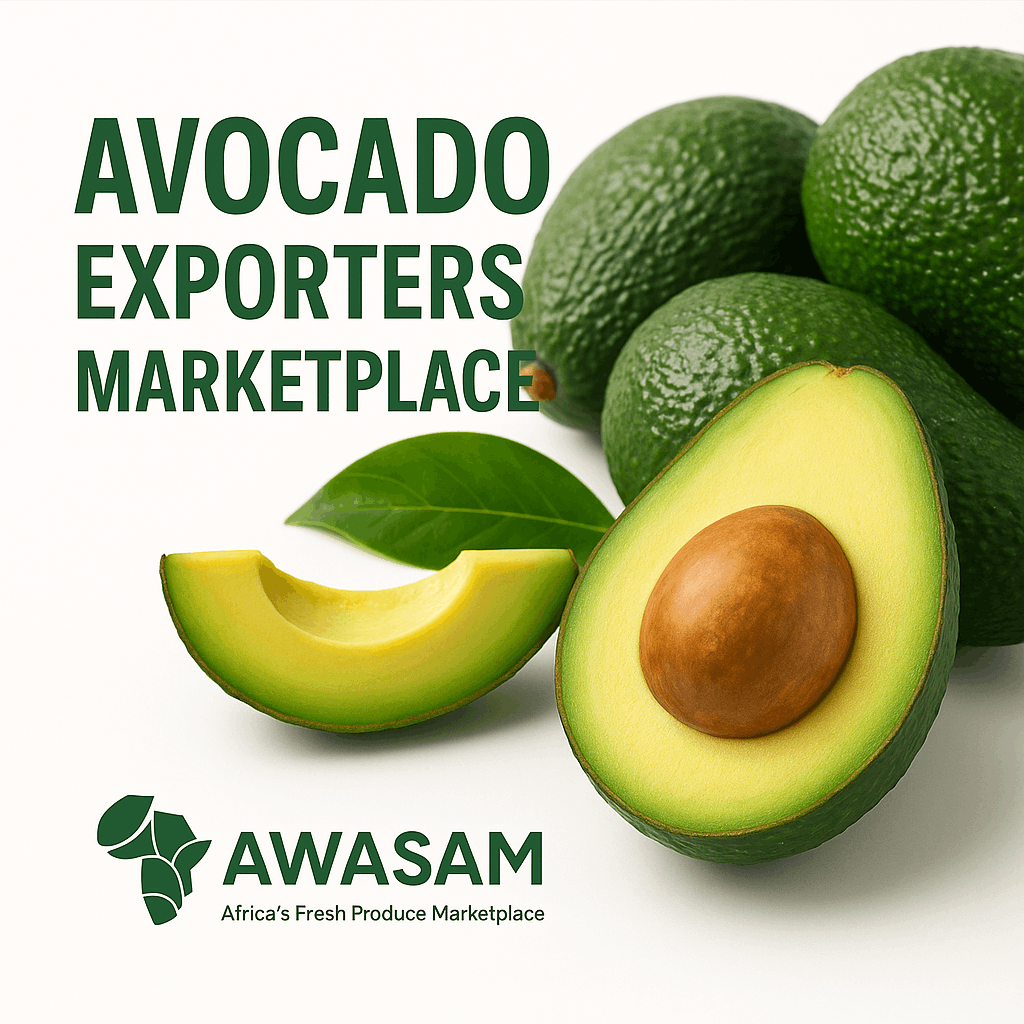 Avocado Exporters Marketplace cover