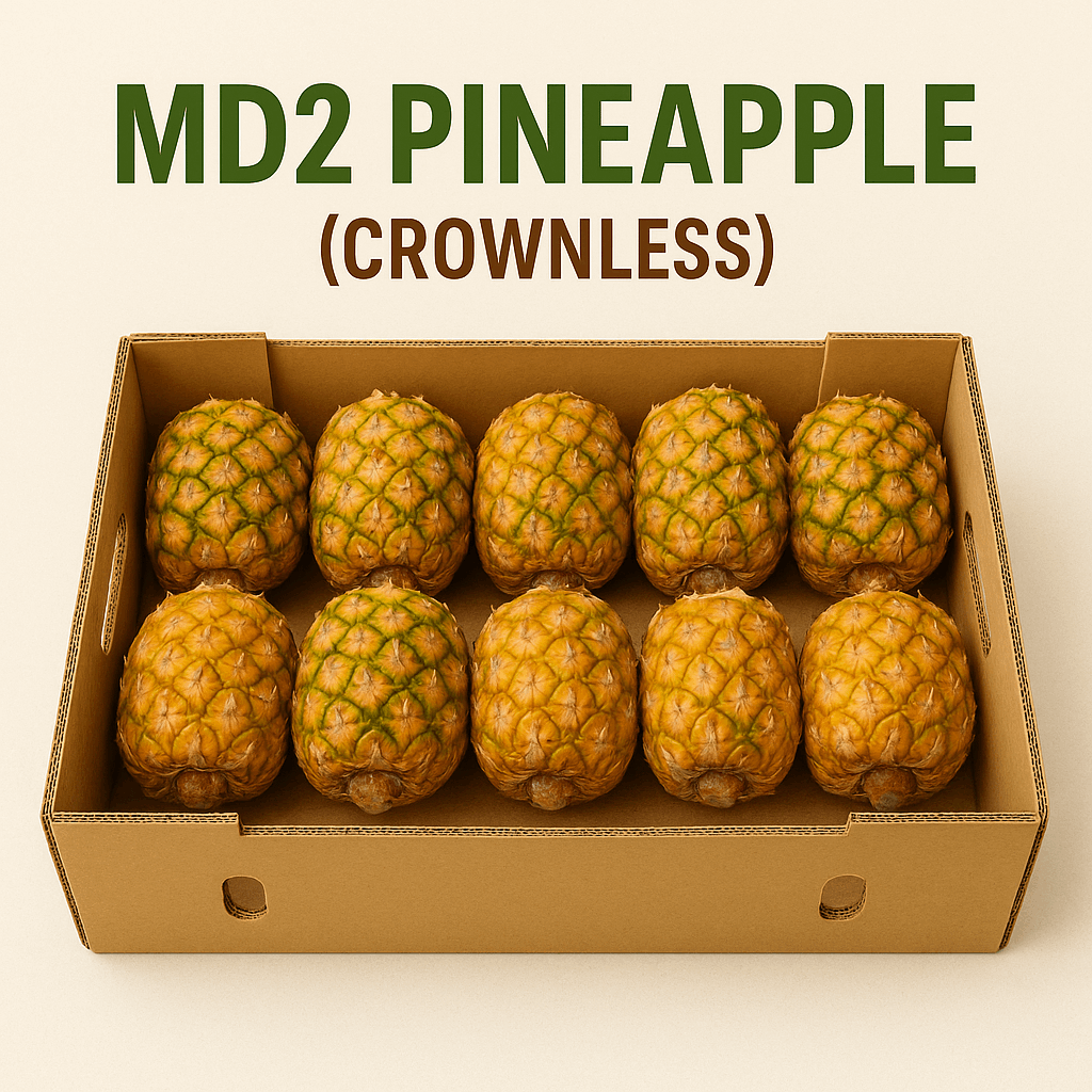 MD2 Pineapple Exporters