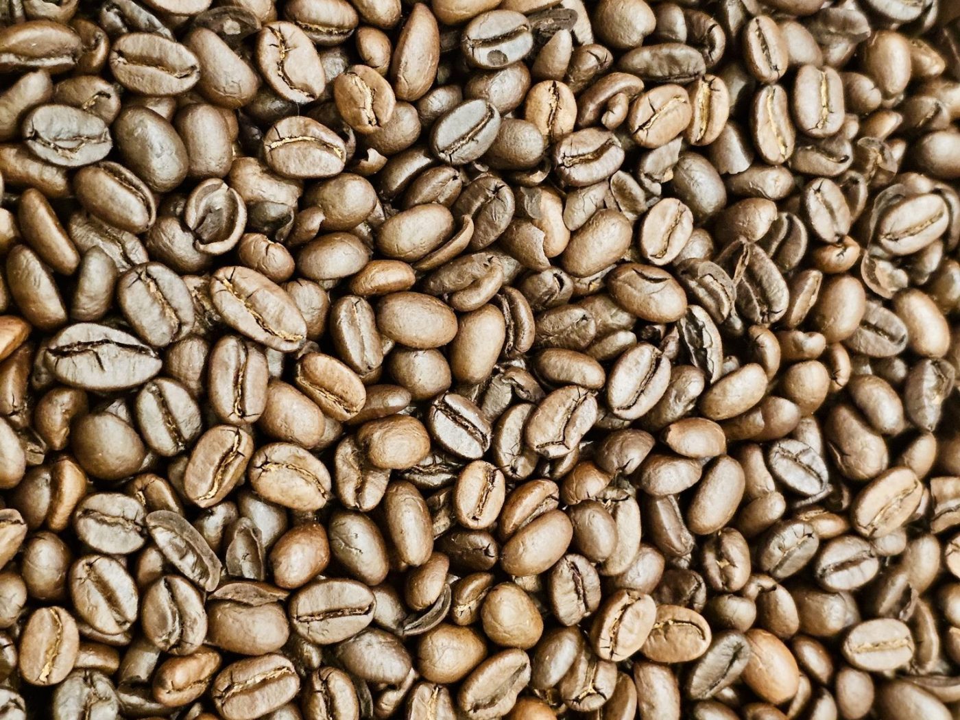 Kenya AA Washed Arabica - SL28